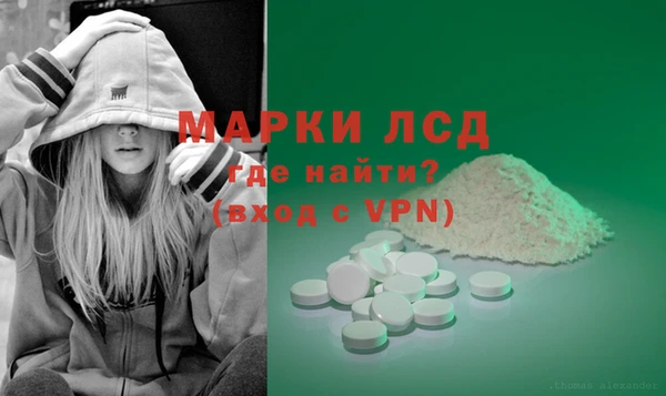 ECSTASY Белокуриха
