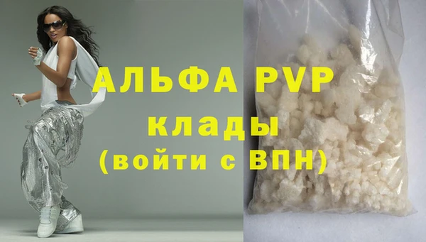 ECSTASY Белокуриха