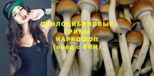 эйфоретик Белоозёрский