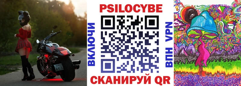 дарнет шоп  Полесск  Псилоцибиновые грибы MAGIC MUSHROOMS 